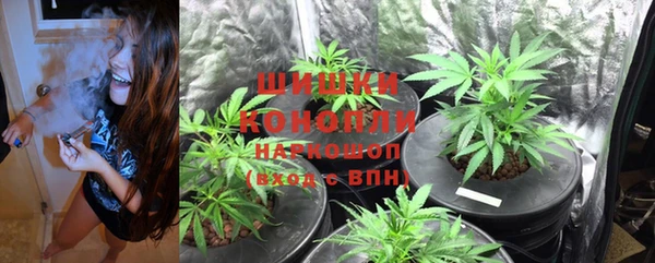 гидра Балахна